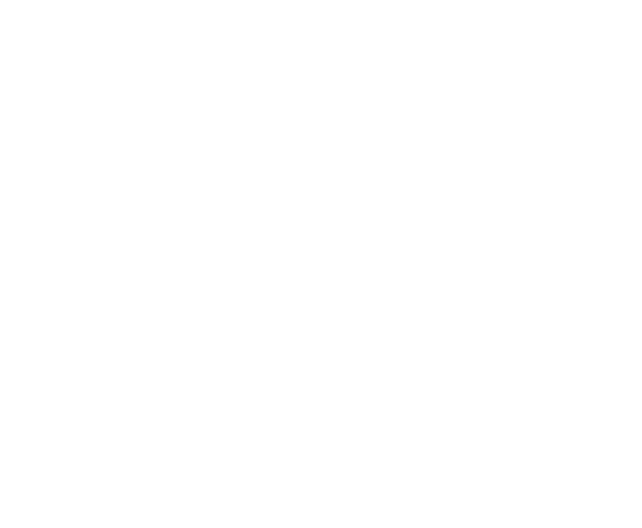 LivingBau Logo